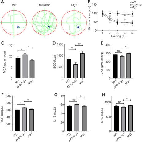 https://cdn.ncbi.nlm.nih.gov/pmc/blobs/f4a0/11034594/c22739574d26/NRR-19-2281-g003.jpg