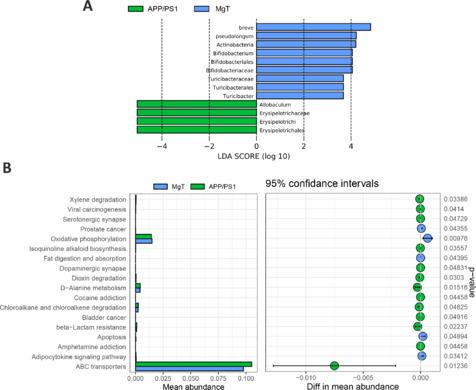 https://cdn.ncbi.nlm.nih.gov/pmc/blobs/f4a0/11034594/f968790e9d44/NRR-19-2281-g005.jpg