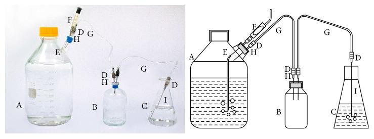 https://cdn.ncbi.nlm.nih.gov/pmc/blobs/f4a1/5733999/dfabe7b3decd/ARCHAEA2017-7046026.005.jpg