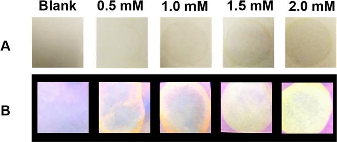 https://cdn.ncbi.nlm.nih.gov/pmc/blobs/f4a2/7066652/b32c253b8ae3/ao9b04364_0006.jpg