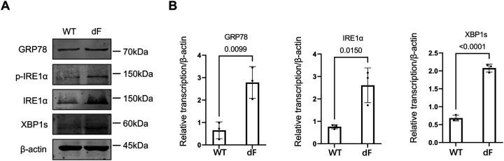 https://cdn.ncbi.nlm.nih.gov/pmc/blobs/f4a3/10371076/237bdc469524/nihpp-rs3112506v1-f0002.jpg