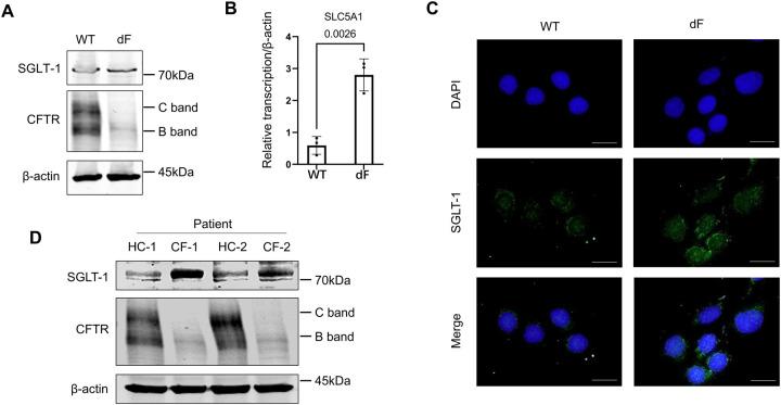 https://cdn.ncbi.nlm.nih.gov/pmc/blobs/f4a3/10371076/2fc59c641d86/nihpp-rs3112506v1-f0001.jpg