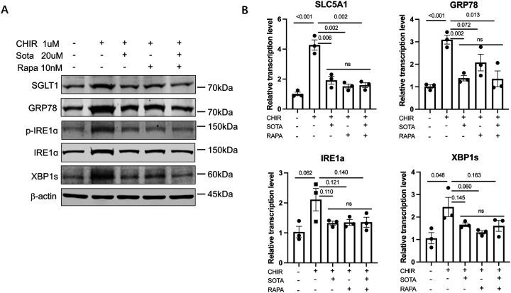 https://cdn.ncbi.nlm.nih.gov/pmc/blobs/f4a3/10371076/49aa5dc983b3/nihpp-rs3112506v1-f0006.jpg
