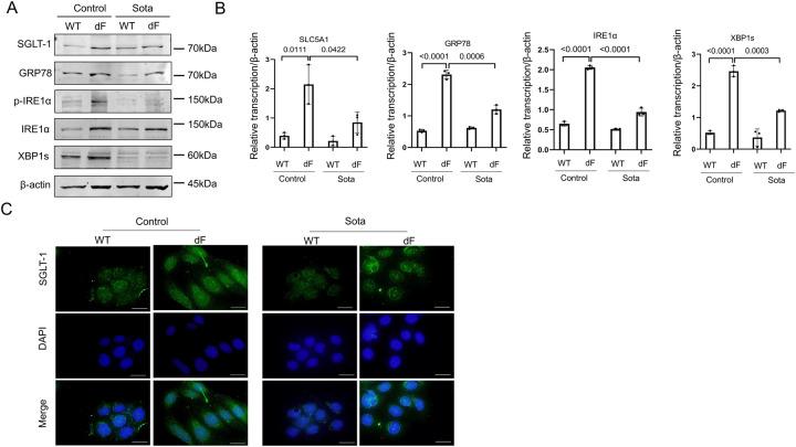 https://cdn.ncbi.nlm.nih.gov/pmc/blobs/f4a3/10371076/db4e9386697e/nihpp-rs3112506v1-f0005.jpg