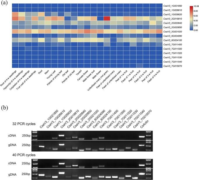 https://cdn.ncbi.nlm.nih.gov/pmc/blobs/f4a3/11220175/440938891aae/uhae127f7.jpg