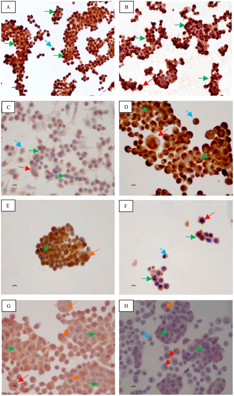 https://cdn.ncbi.nlm.nih.gov/pmc/blobs/f4a3/4756684/4aa17aa05a4c/srep21648-f1.jpg
