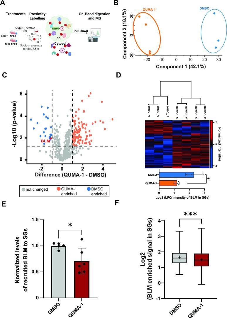https://cdn.ncbi.nlm.nih.gov/pmc/blobs/f4a6/10516661/fb37be5c1f8e/gkad613fig4.jpg