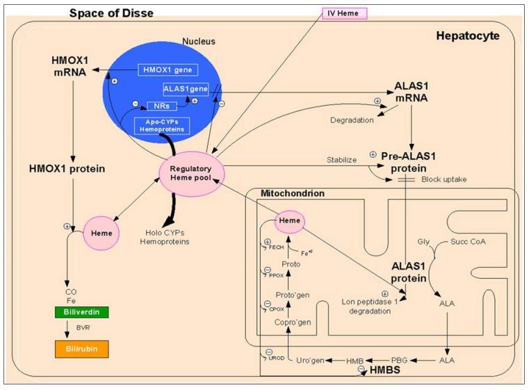 https://cdn.ncbi.nlm.nih.gov/pmc/blobs/f4a8/4279155/ce0eac822dfd/metabolites-04-00977-g001.jpg