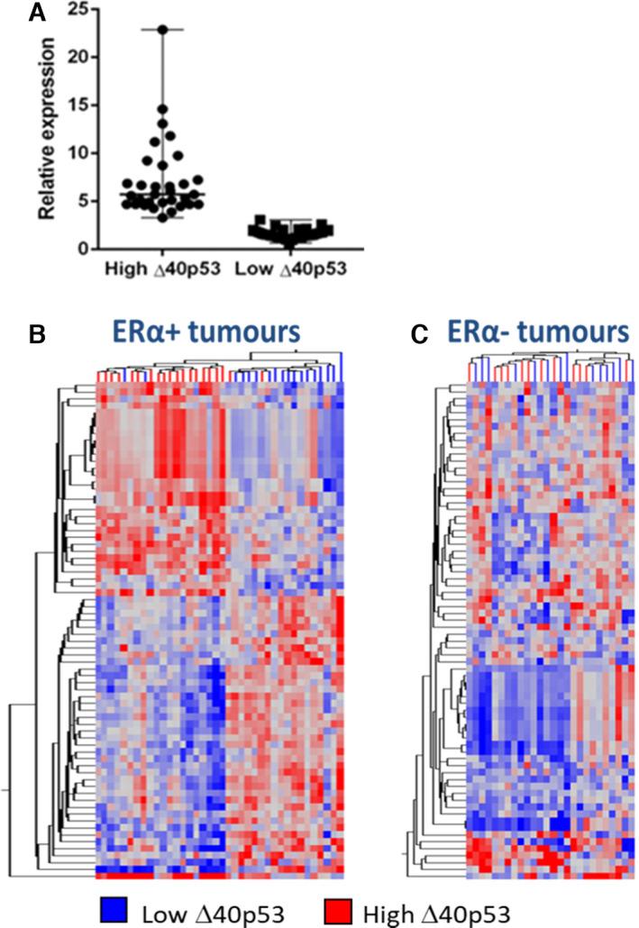 https://cdn.ncbi.nlm.nih.gov/pmc/blobs/f4a8/8763661/6fdacbfcb019/MOL2-16-447-g006.jpg