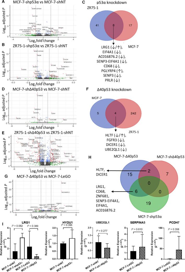 https://cdn.ncbi.nlm.nih.gov/pmc/blobs/f4a8/8763661/e289ecefba1b/MOL2-16-447-g001.jpg