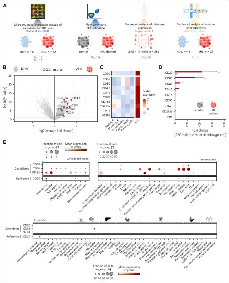 https://cdn.ncbi.nlm.nih.gov/pmc/blobs/f4ab/12002222/0071c9c03c3b/BLOOD_BLD-2023-022197R1-gr1.jpg