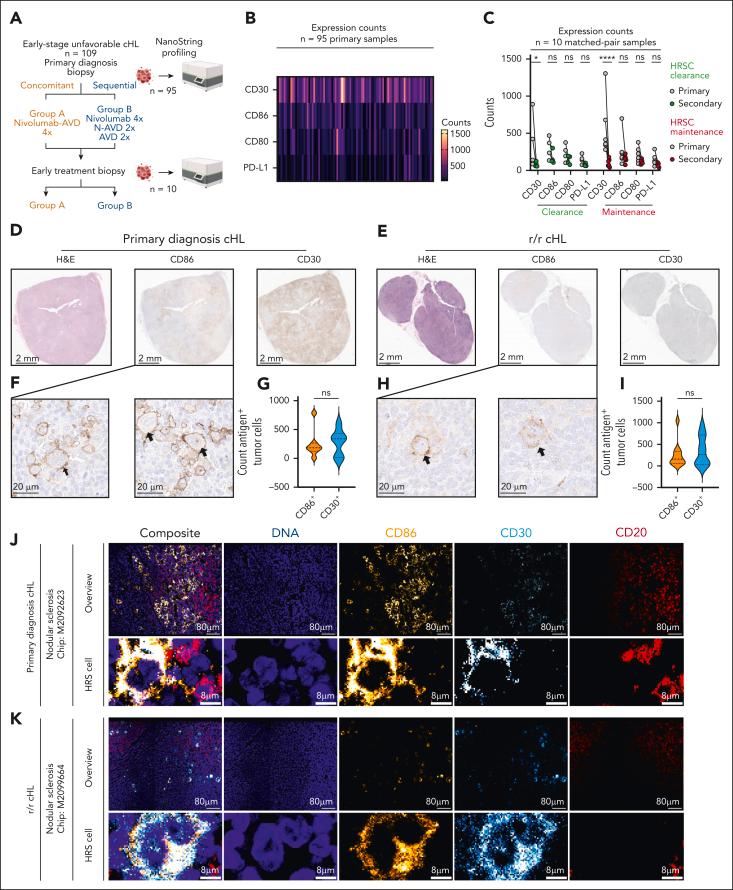 https://cdn.ncbi.nlm.nih.gov/pmc/blobs/f4ab/12002222/5817dc80c897/BLOOD_BLD-2023-022197R1-gr3.jpg