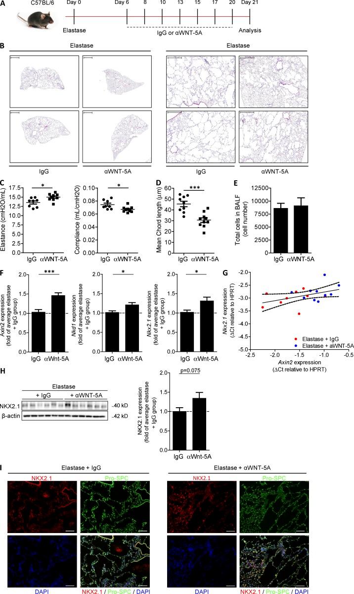 https://cdn.ncbi.nlm.nih.gov/pmc/blobs/f4ab/5206496/a879863d257c/JEM_20160675_Fig8.jpg