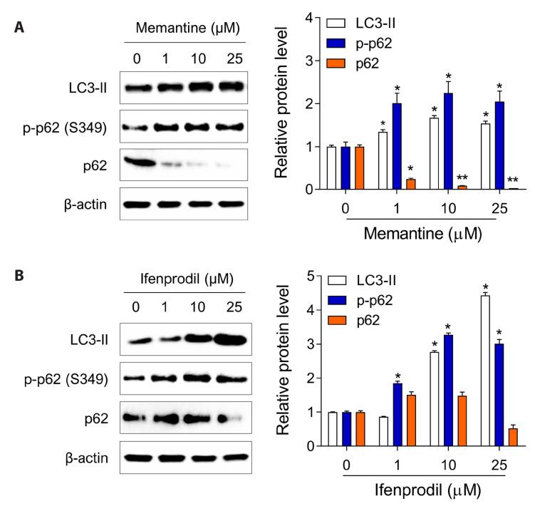 https://cdn.ncbi.nlm.nih.gov/pmc/blobs/f4ac/10466070/5a7b62c6357a/kjpp-27-5-449-f3.jpg