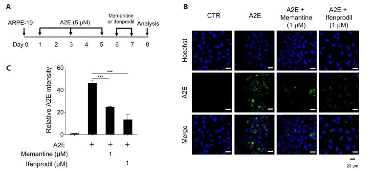 https://cdn.ncbi.nlm.nih.gov/pmc/blobs/f4ac/10466070/6edb1de444e5/kjpp-27-5-449-f2.jpg
