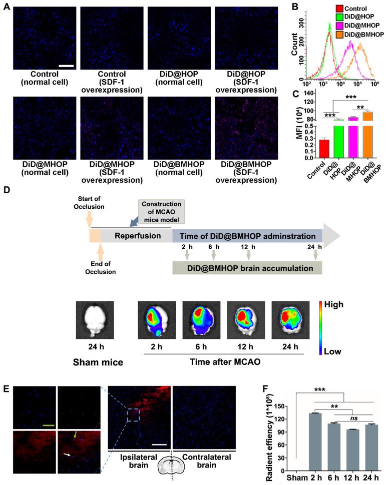 https://cdn.ncbi.nlm.nih.gov/pmc/blobs/f4ad/8315061/01e137724aef/thnov11p8043g003.jpg