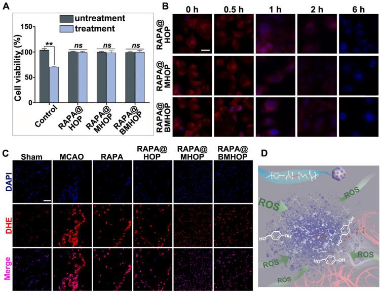 https://cdn.ncbi.nlm.nih.gov/pmc/blobs/f4ad/8315061/b316c3fdfb57/thnov11p8043g004.jpg