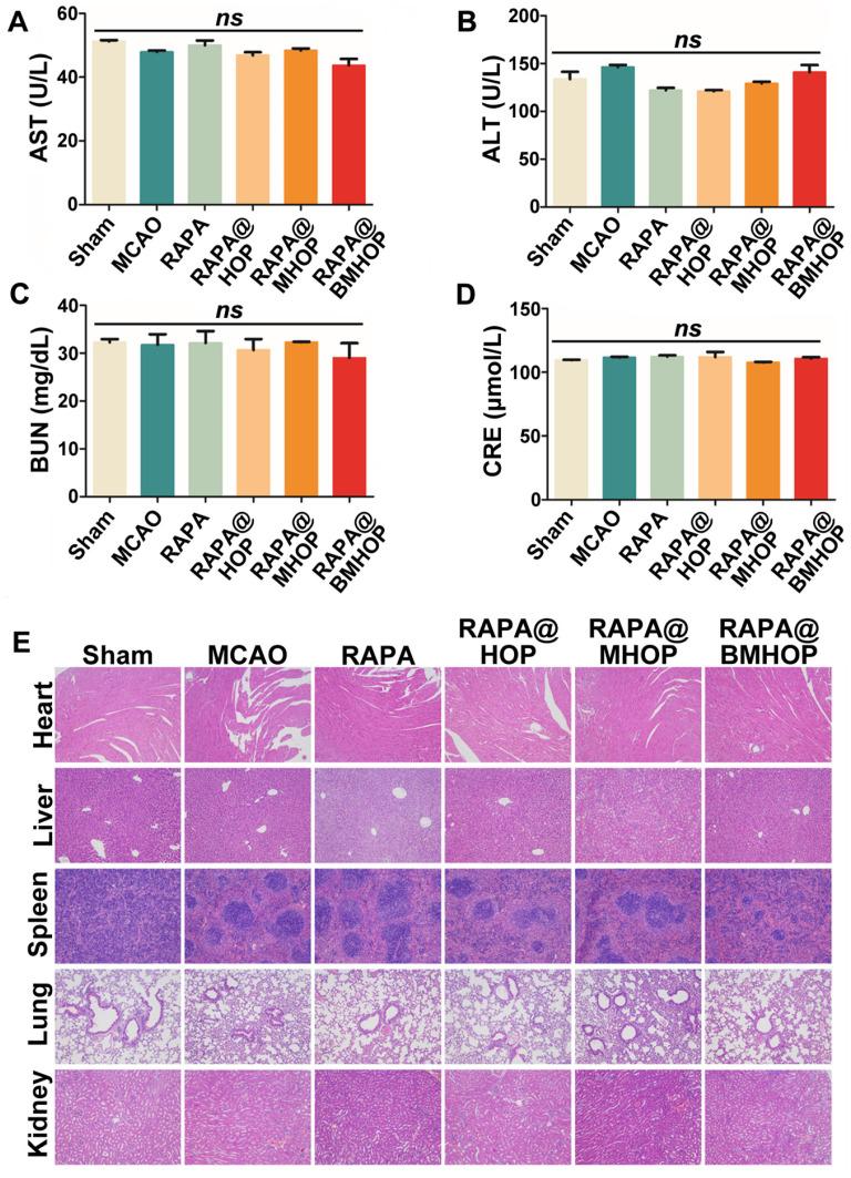 https://cdn.ncbi.nlm.nih.gov/pmc/blobs/f4ad/8315061/e3920a06798e/thnov11p8043g007.jpg