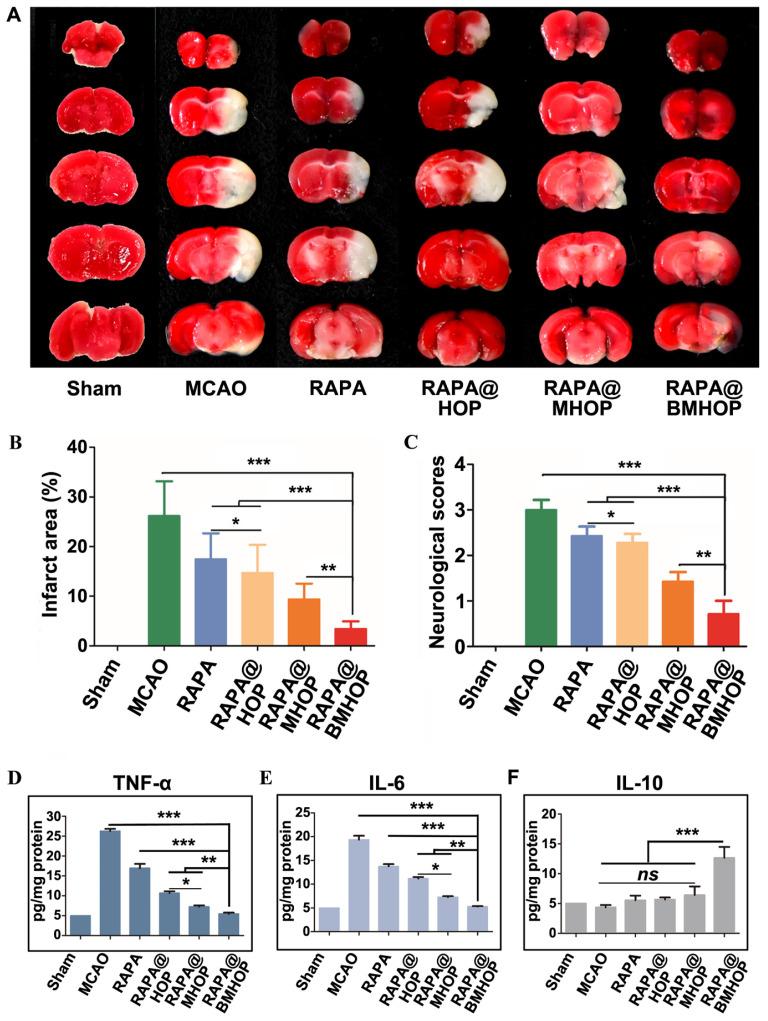 https://cdn.ncbi.nlm.nih.gov/pmc/blobs/f4ad/8315061/f482ddd5eaab/thnov11p8043g005.jpg