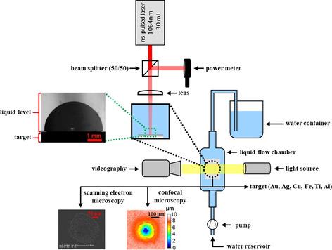 https://cdn.ncbi.nlm.nih.gov/pmc/blobs/f4b2/8048872/811c5f79101a/CHEM-27-5978-g001.jpg