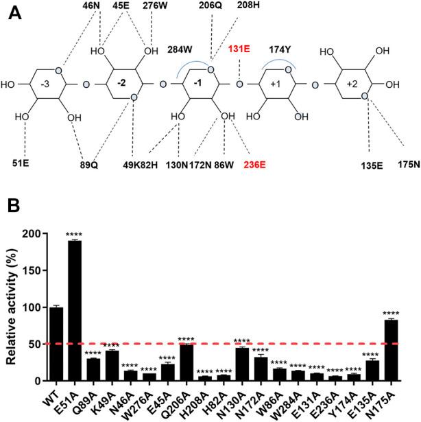https://cdn.ncbi.nlm.nih.gov/pmc/blobs/f4b2/9459120/d2d410c75da7/fbioe-10-939550-g005.jpg