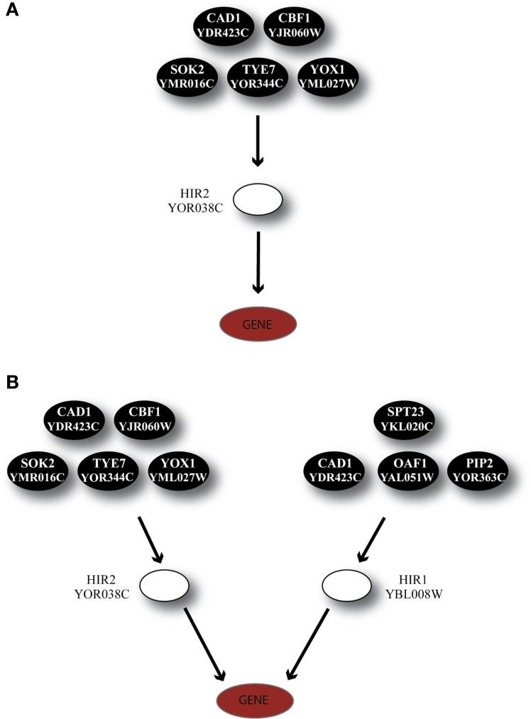 https://cdn.ncbi.nlm.nih.gov/pmc/blobs/f4b3/3687159/1f358cb12af0/fgene-04-00110-g0007.jpg