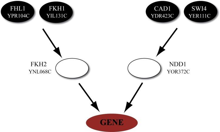 https://cdn.ncbi.nlm.nih.gov/pmc/blobs/f4b3/3687159/da5cf7ec116e/fgene-04-00110-g0001.jpg