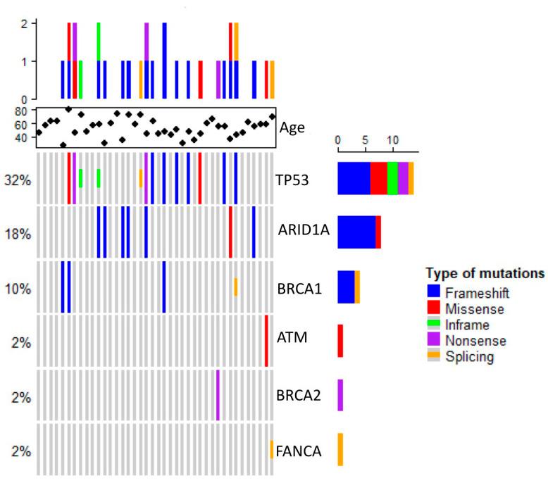 https://cdn.ncbi.nlm.nih.gov/pmc/blobs/f4b6/10174330/ce8ae5830e05/fonc-13-1146008-g001.jpg