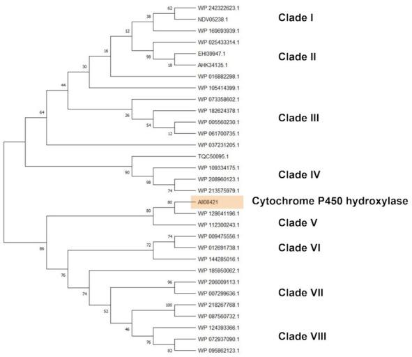 https://cdn.ncbi.nlm.nih.gov/pmc/blobs/f4b6/9506104/cf59b6e98cff/microorganisms-10-01846-g009.jpg