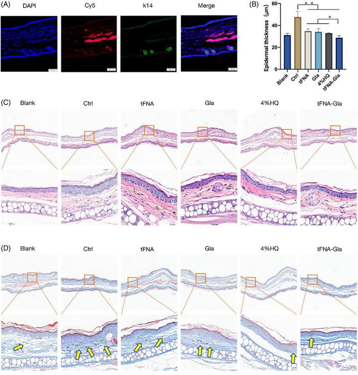https://cdn.ncbi.nlm.nih.gov/pmc/blobs/f4b8/10693180/e83cc4ec0cea/CPR-56-e13495-g001.jpg