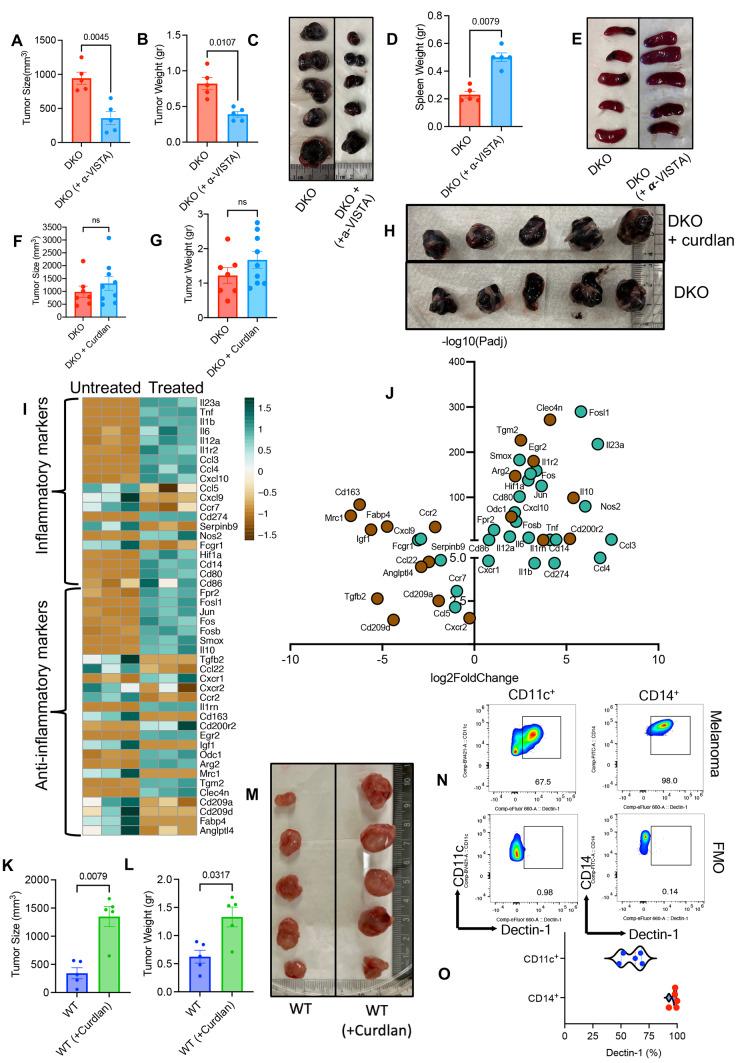 https://cdn.ncbi.nlm.nih.gov/pmc/blobs/f4b8/11467025/0d979ff90b3e/13402_2024_950_Fig6_HTML.jpg