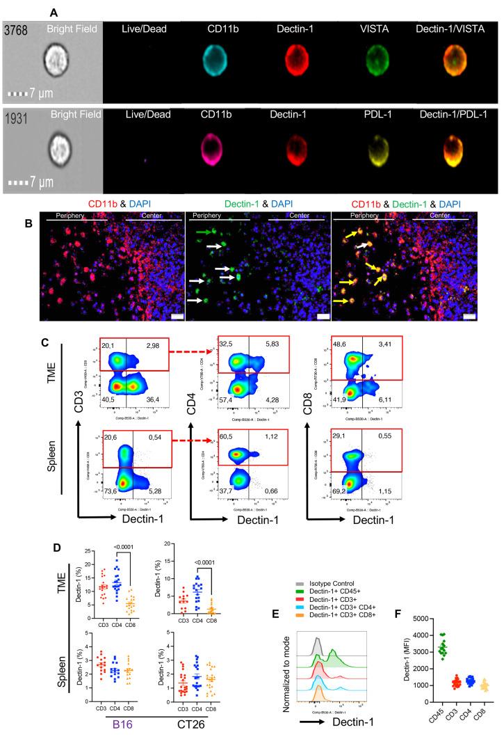 https://cdn.ncbi.nlm.nih.gov/pmc/blobs/f4b8/11467025/ae26541ed05b/13402_2024_950_Fig3_HTML.jpg