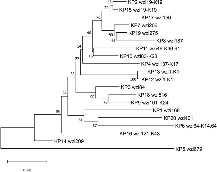 https://cdn.ncbi.nlm.nih.gov/pmc/blobs/f4ba/9307913/e54b0a98fb2f/IDR-15-3829-g0002.jpg