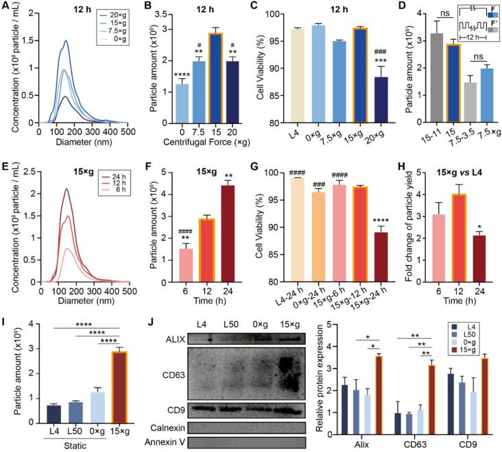 https://cdn.ncbi.nlm.nih.gov/pmc/blobs/f4bb/12210758/26ac8be899d7/12951_2025_3556_Fig2_HTML.jpg