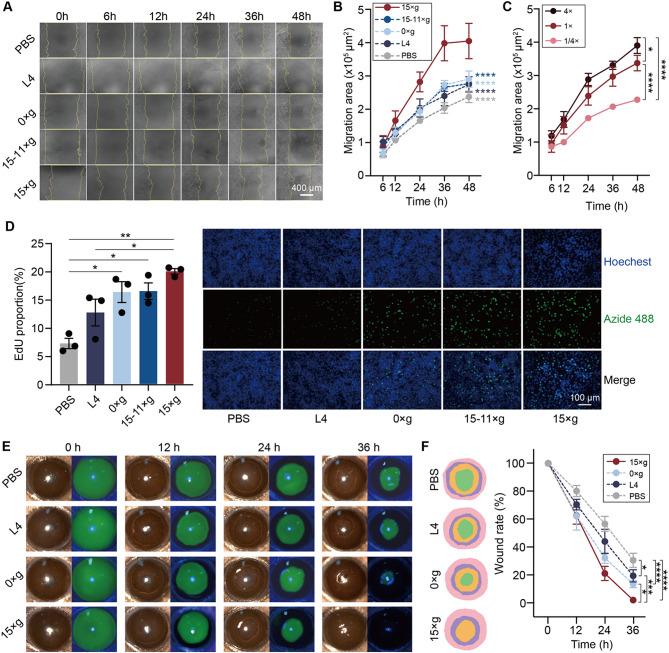https://cdn.ncbi.nlm.nih.gov/pmc/blobs/f4bb/12210758/27b8915b6c69/12951_2025_3556_Fig3_HTML.jpg
