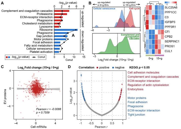 https://cdn.ncbi.nlm.nih.gov/pmc/blobs/f4bb/12210758/8e8e9325da9c/12951_2025_3556_Fig6_HTML.jpg