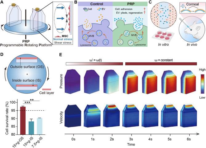 https://cdn.ncbi.nlm.nih.gov/pmc/blobs/f4bb/12210758/fbc69026386a/12951_2025_3556_Fig1_HTML.jpg