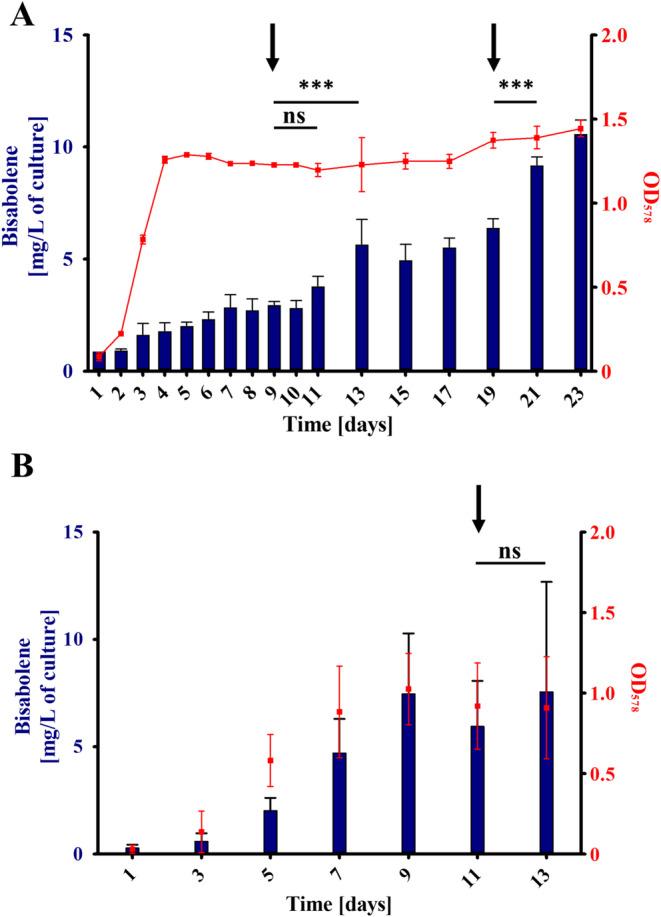 https://cdn.ncbi.nlm.nih.gov/pmc/blobs/f4bc/11816158/457cab779112/MBT2-18-e70105-g006.jpg