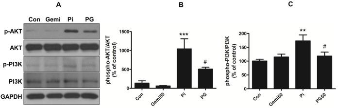 https://cdn.ncbi.nlm.nih.gov/pmc/blobs/f4bd/5501516/a283ebfb1025/pone.0180393.g005.jpg