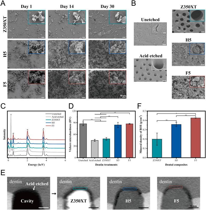 https://cdn.ncbi.nlm.nih.gov/pmc/blobs/f4be/10885616/217b72cca738/gr4.jpg