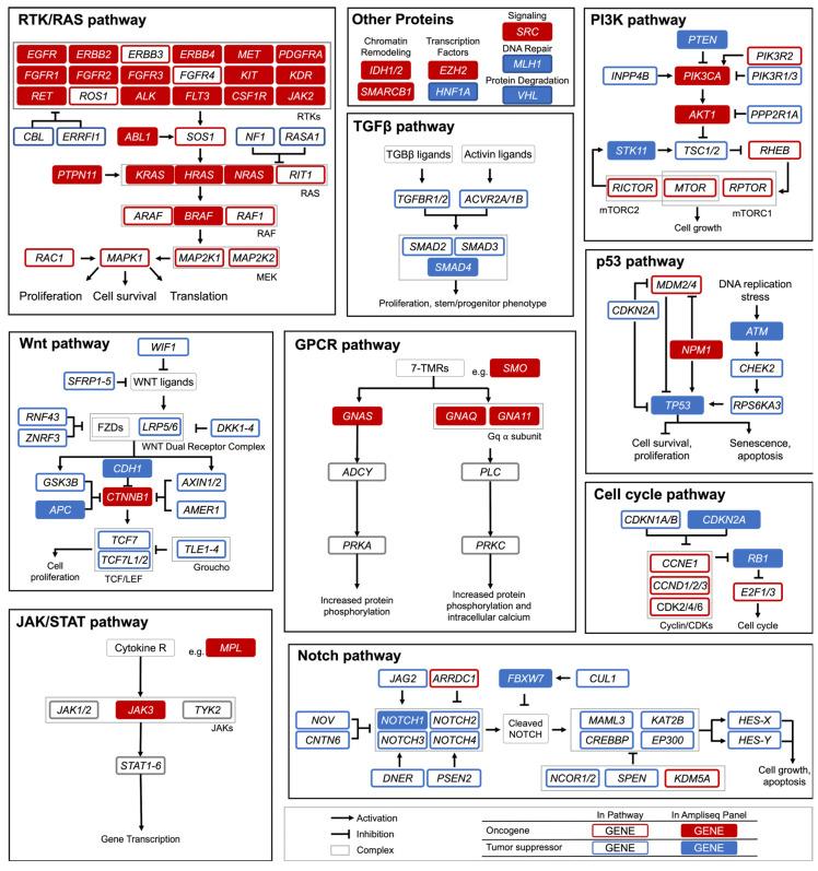 https://cdn.ncbi.nlm.nih.gov/pmc/blobs/f4be/9179545/c9042dc01869/cancers-14-02781-g001.jpg