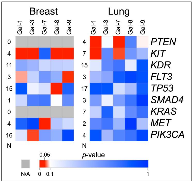 https://cdn.ncbi.nlm.nih.gov/pmc/blobs/f4be/9179545/dd2d5c27f279/cancers-14-02781-g002.jpg