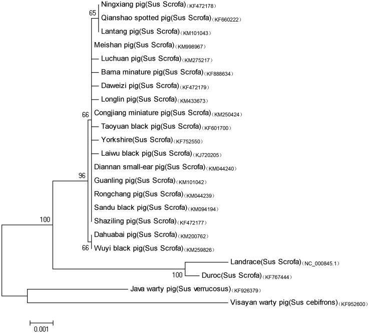 https://cdn.ncbi.nlm.nih.gov/pmc/blobs/f4c1/7799564/3bc1389ce007/TMDN_A_1137850_F0001_B.jpg