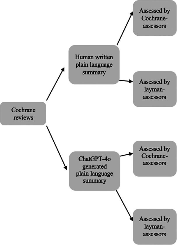 https://cdn.ncbi.nlm.nih.gov/pmc/blobs/f4c3/12302524/ab09629a7340/CESM-3-e70037-g002.jpg