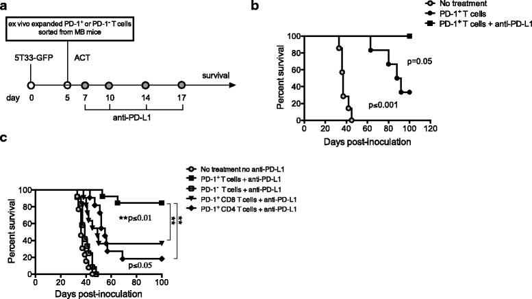 https://cdn.ncbi.nlm.nih.gov/pmc/blobs/f4c3/5477110/c0909bcf7859/40425_2017_256_Fig4_HTML.jpg