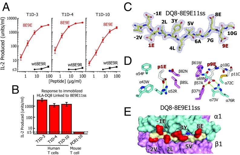 https://cdn.ncbi.nlm.nih.gov/pmc/blobs/f4c8/5776820/51f0d3c34c97/pnas.1716527115fig05.jpg