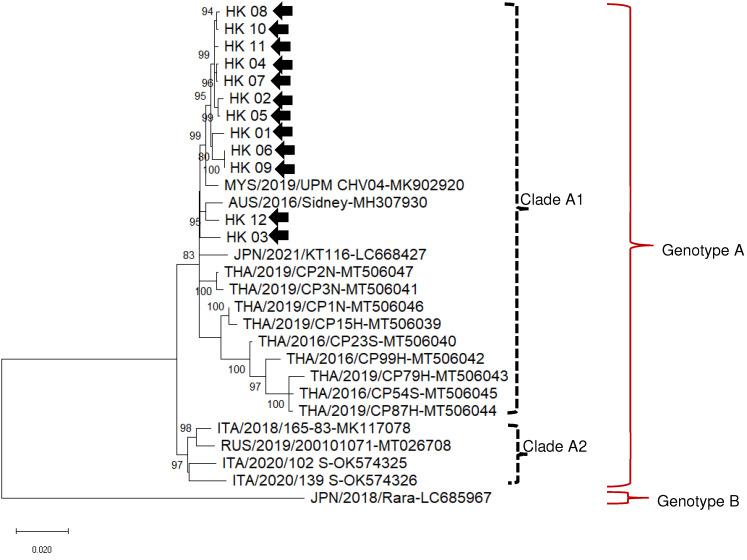 https://cdn.ncbi.nlm.nih.gov/pmc/blobs/f4c9/9865086/f2dcc9b87a89/viruses-15-00150-g001.jpg