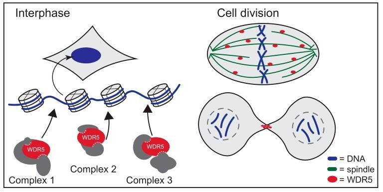 https://cdn.ncbi.nlm.nih.gov/pmc/blobs/f4d1/5852437/b74434d51211/jcm-07-00021-g007.jpg