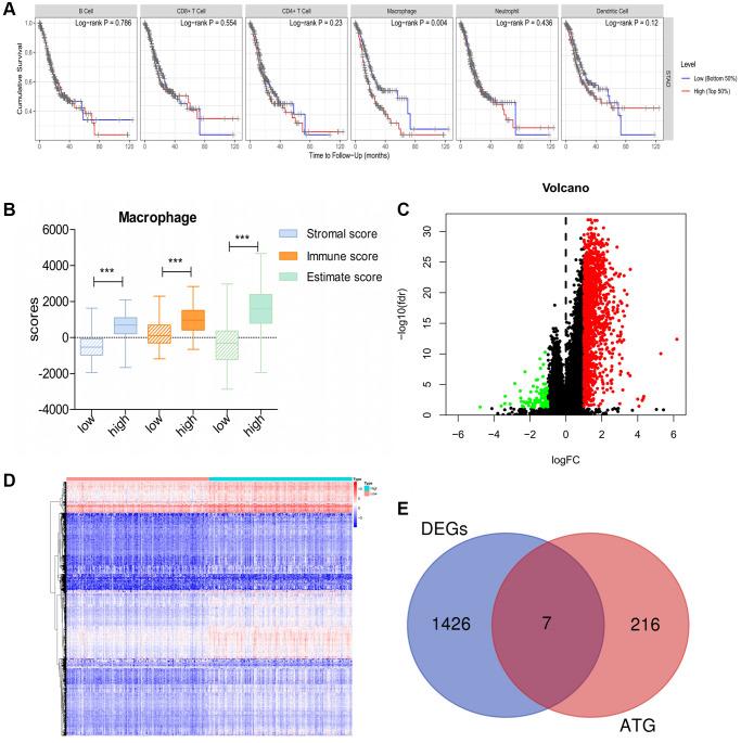 https://cdn.ncbi.nlm.nih.gov/pmc/blobs/f4d2/9550254/a84af92c46d9/aging-14-204313-g001.jpg