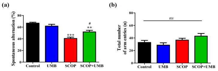 https://cdn.ncbi.nlm.nih.gov/pmc/blobs/f4d3/10221769/6cac93863e3e/nutrients-15-02351-g004.jpg